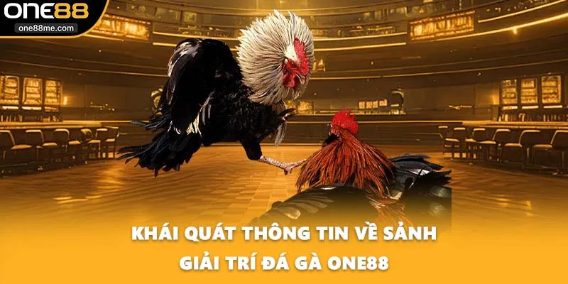 Khái quát thông tin về sảnh giải trí đá gà ONE88